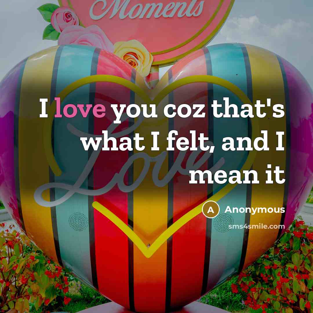 “I love you coz that's what I felt, and I…” quote by Anonymous