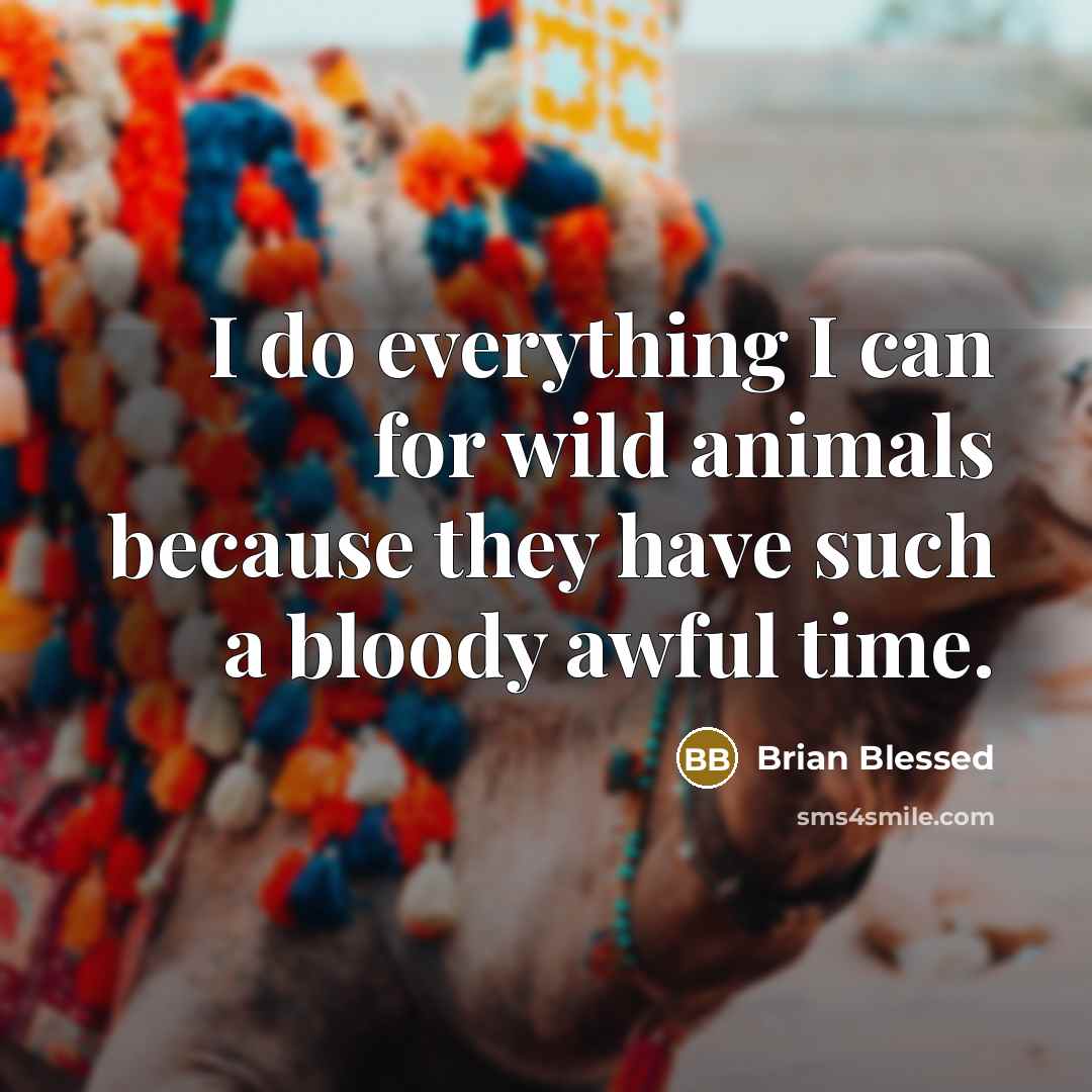 “I do everything I can for wild animals because they…” quote by Brian Blessed