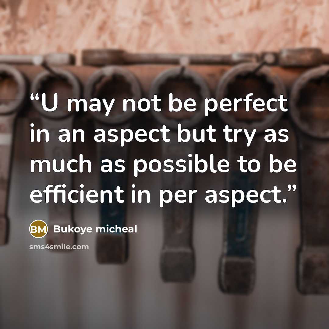“U may not be perfect in an aspect but try as much as possible to be efficient in per aspect.” quote by Bukoye micheal