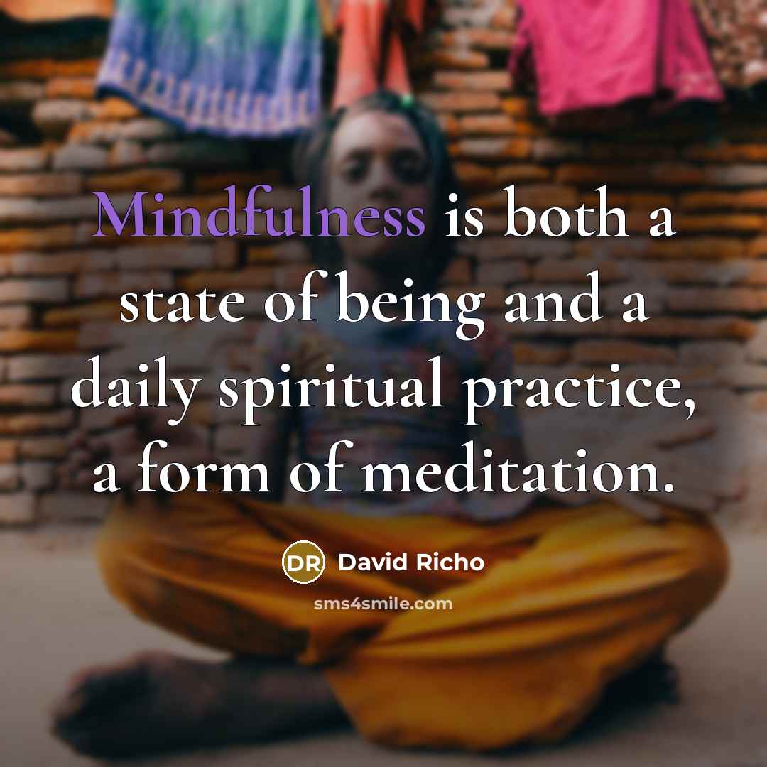 “Mindfulness is both a state of being and a daily…” quote by David Richo