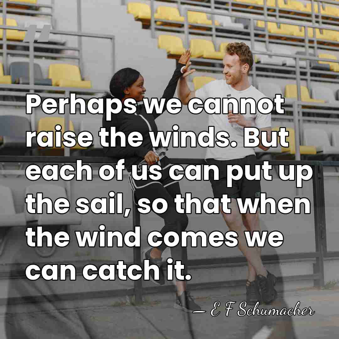 Perhaps we cannot raise the winds. But each of us can put&hellip; - E F Schumacher