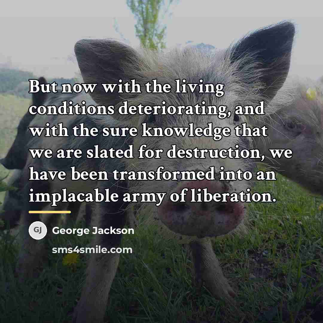 “But now with the living conditions deteriorating, and with the…” quote by George Jackson