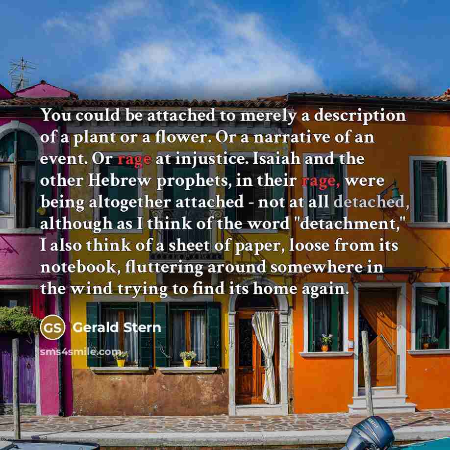 “You could be attached to merely a description of a…” quote by Gerald Stern