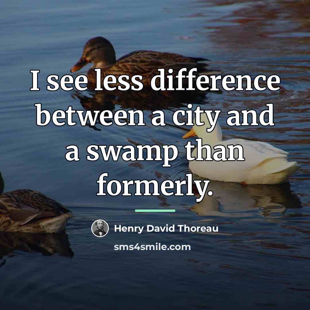 “I see less difference between a city and a swamp…” quote by Henry David Thoreau