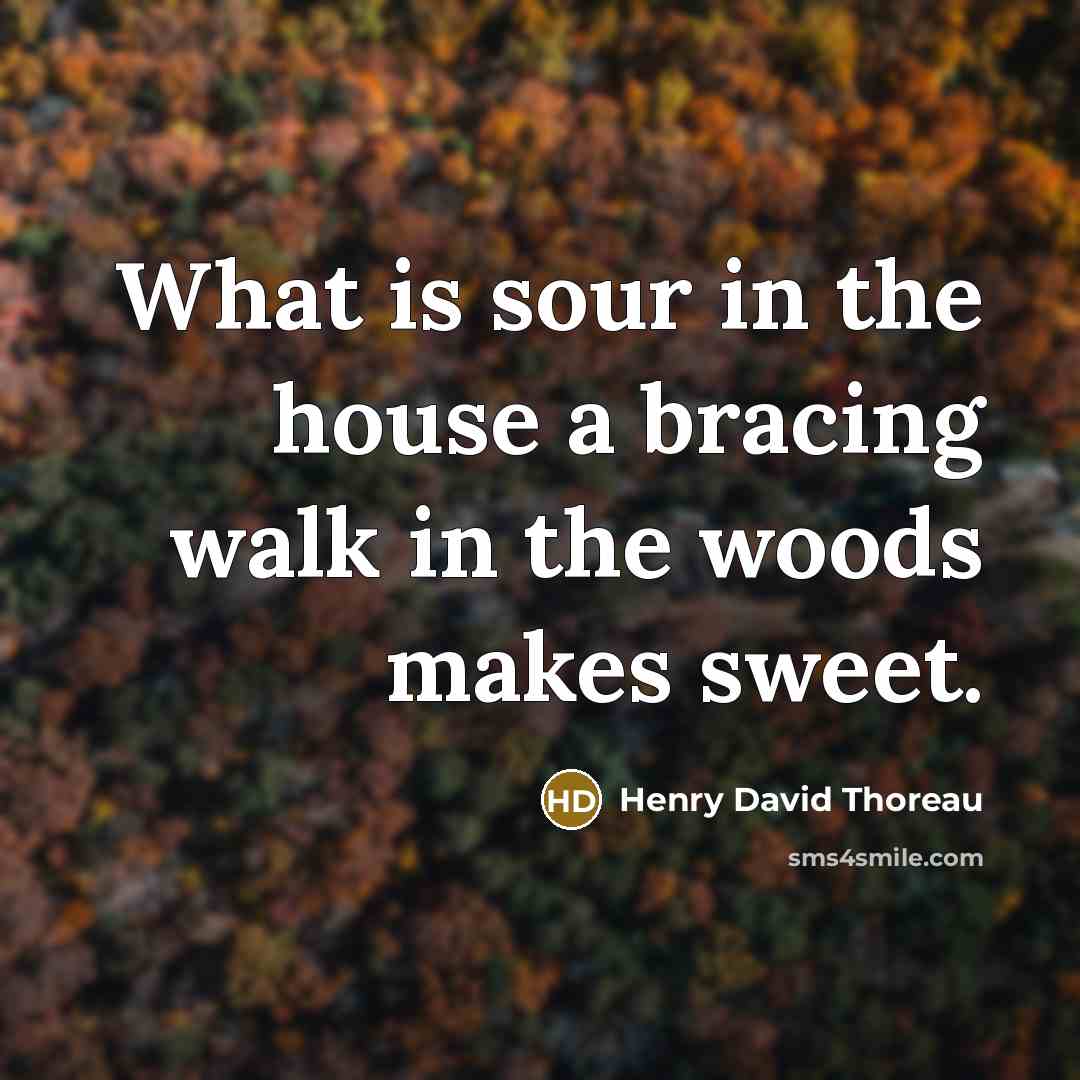 “What is sour in the house a bracing walk in…” quote by Henry David Thoreau