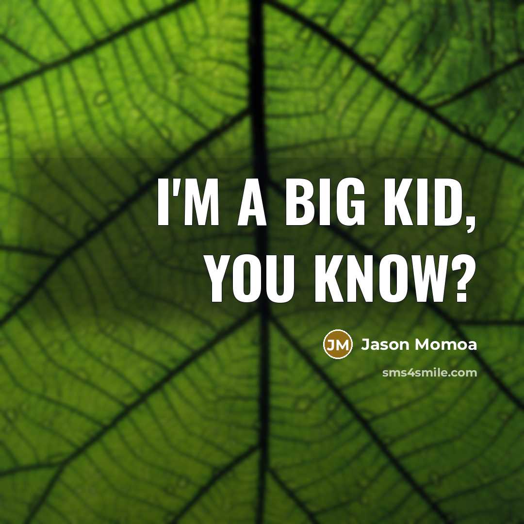 “I'm a big kid, you know?…” quote by Jason Momoa