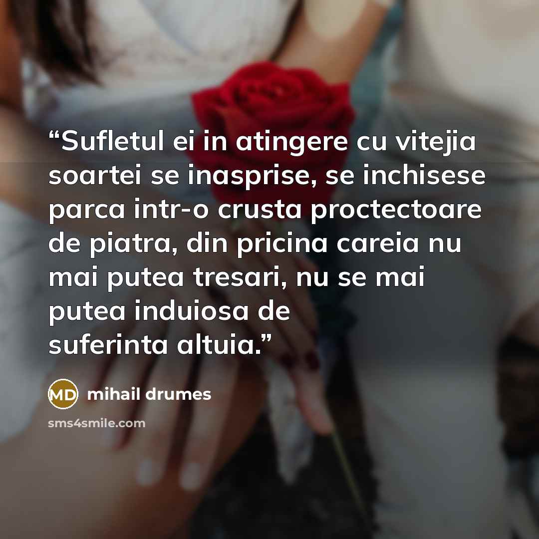 “Sufletul ei in atingere cu vitejia soartei se inasprise, se inchisese parca intr-o crusta proctectoare de piatra, din pricina careia nu mai putea tresari, nu se mai putea induiosa de suferinta altuia.” quote by Mihail Drumeş