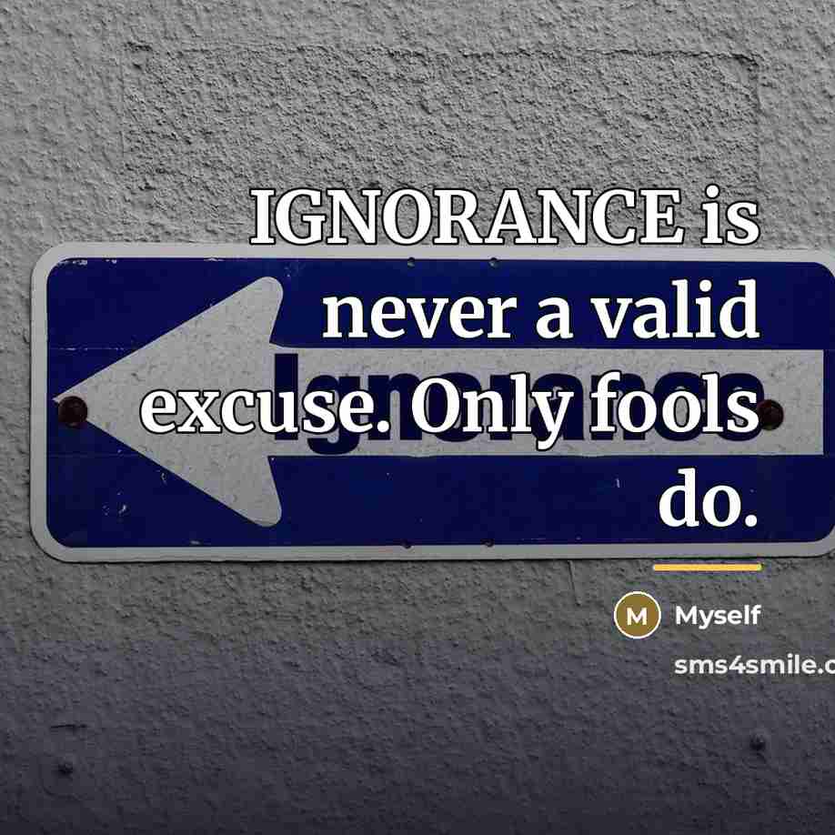 “IGNORANCE is never a valid excuse. Only fools do.…” quote by Myself