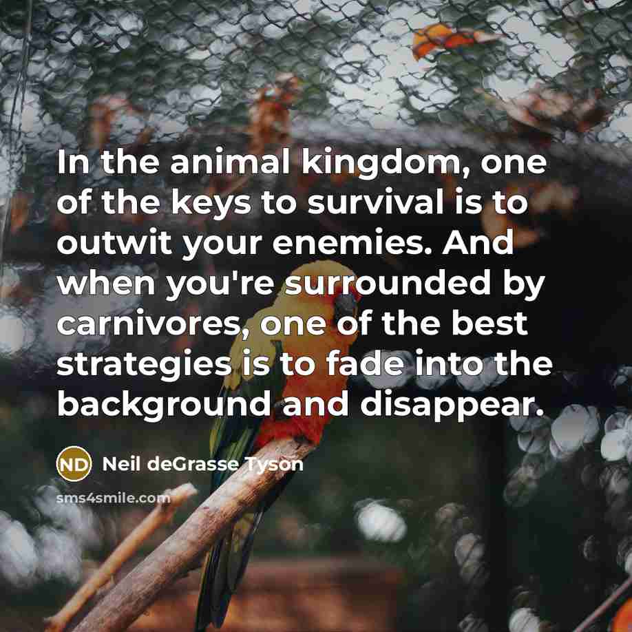 “In the animal kingdom, one of the keys to survival…” quote by Neil deGrasse Tyson