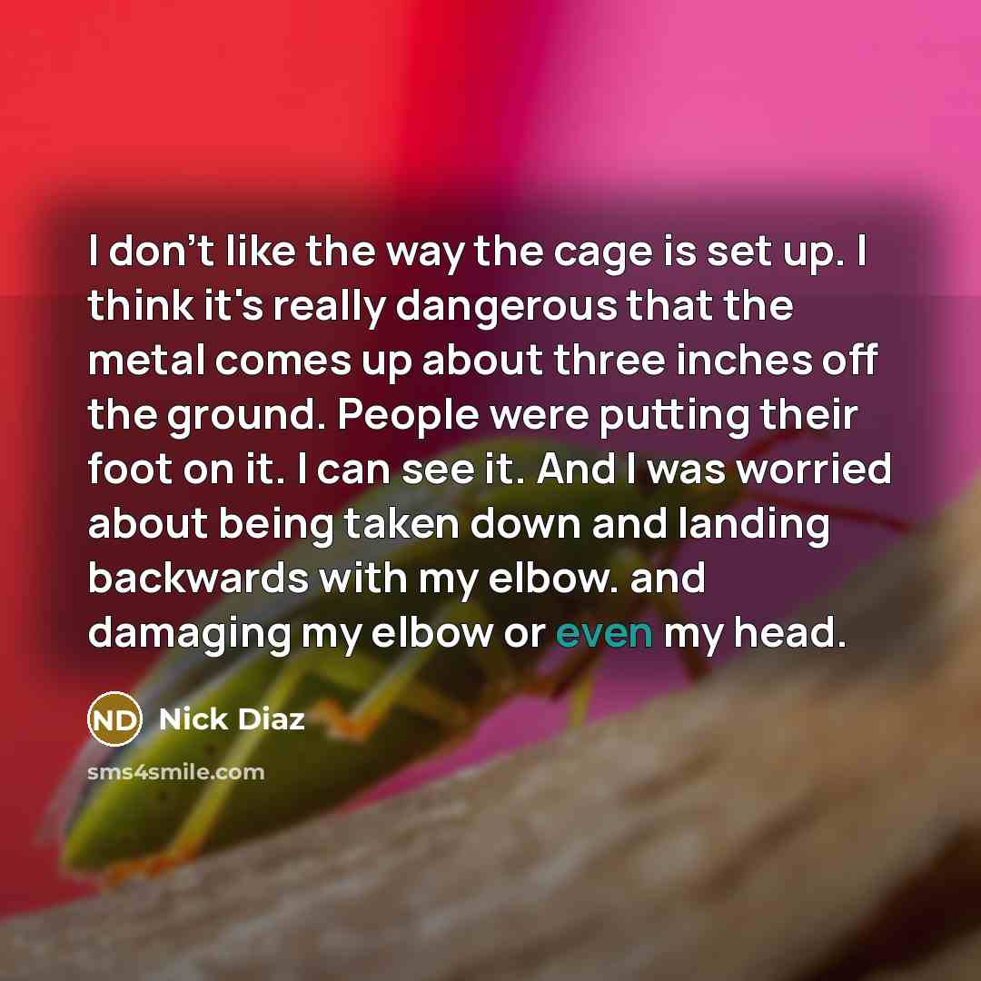 “I don't like the way the cage is set up.…” quote by Nick Diaz