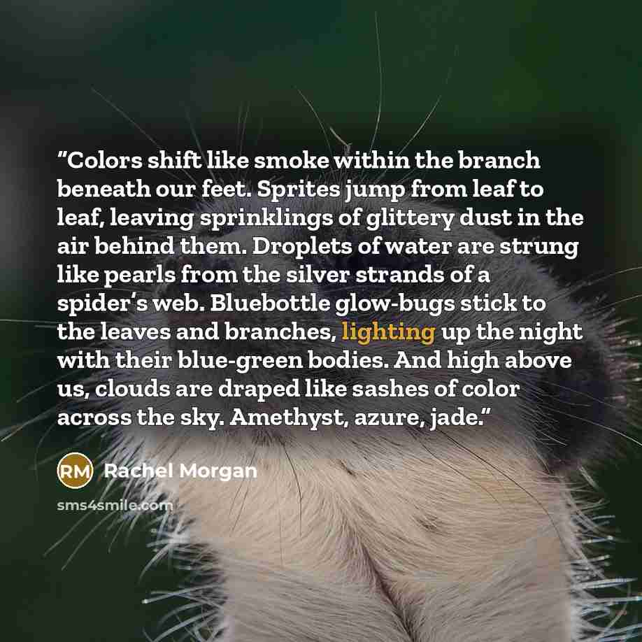 “Colors shift like smoke within the branch beneath our feet. Sprites jump from leaf to leaf, leaving sprinklings of glittery dust in the air behind them. Droplets of water are strung like pearls from the silver strands of a spider’s web. Bluebottle glow-bugs stick to the leaves and branches…” quote by Rachel Morgan