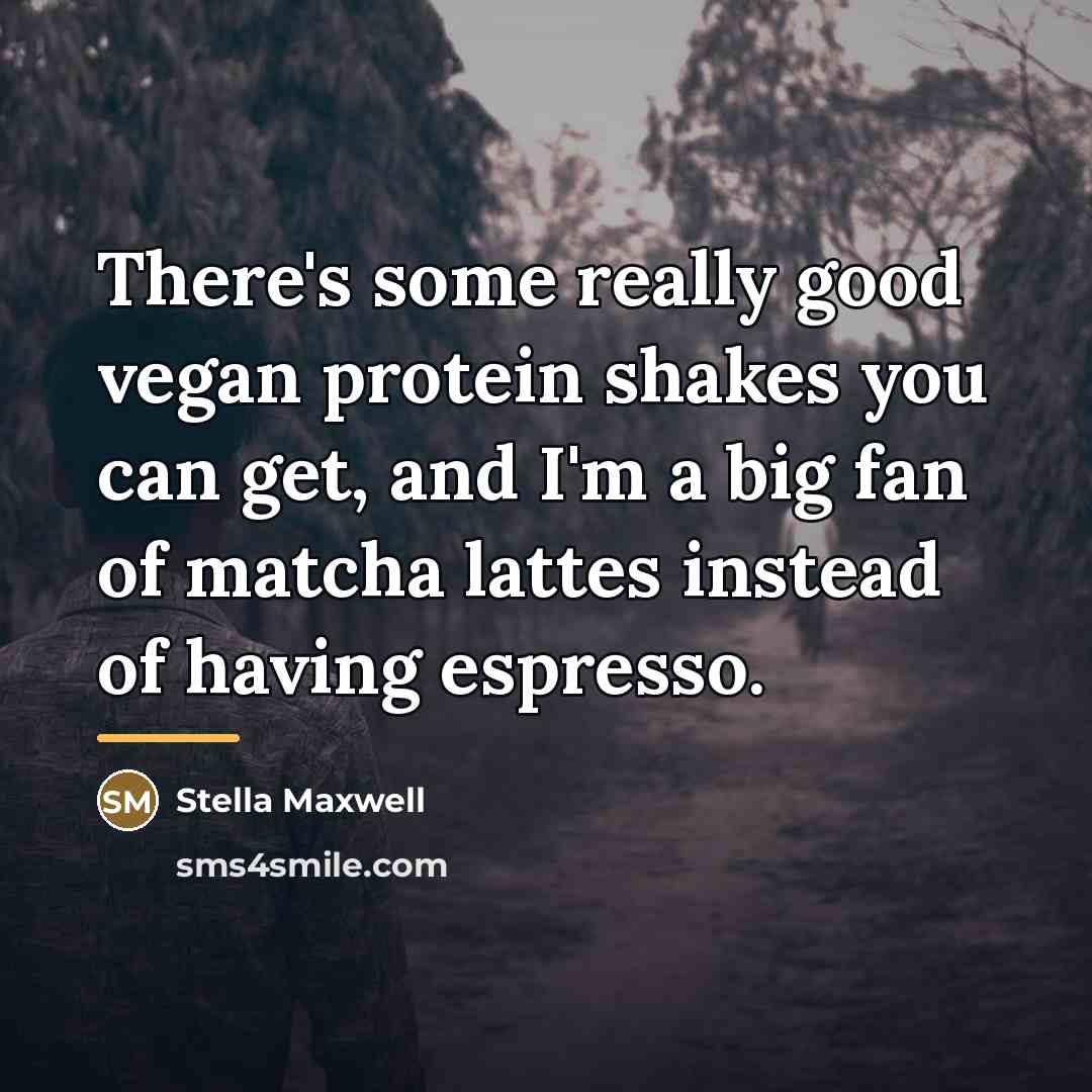 “There's some really good vegan protein shakes you can get,…” quote by Stella Maxwell