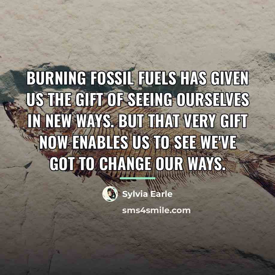 “Burning fossil fuels has given us the gift of seeing…” quote by Sylvia Earle