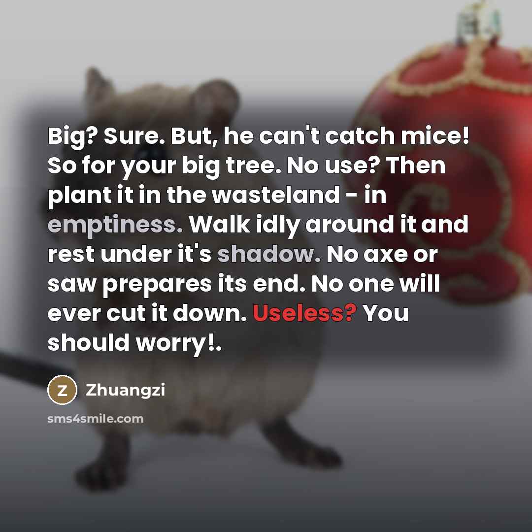 “Big? Sure. But, he can't catch mice! So for your…” quote by Zhuangzi