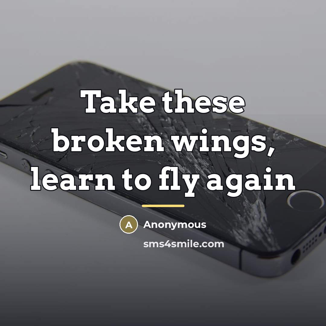 “Take these broken wings, learn to fly again…” quote by Anonymous