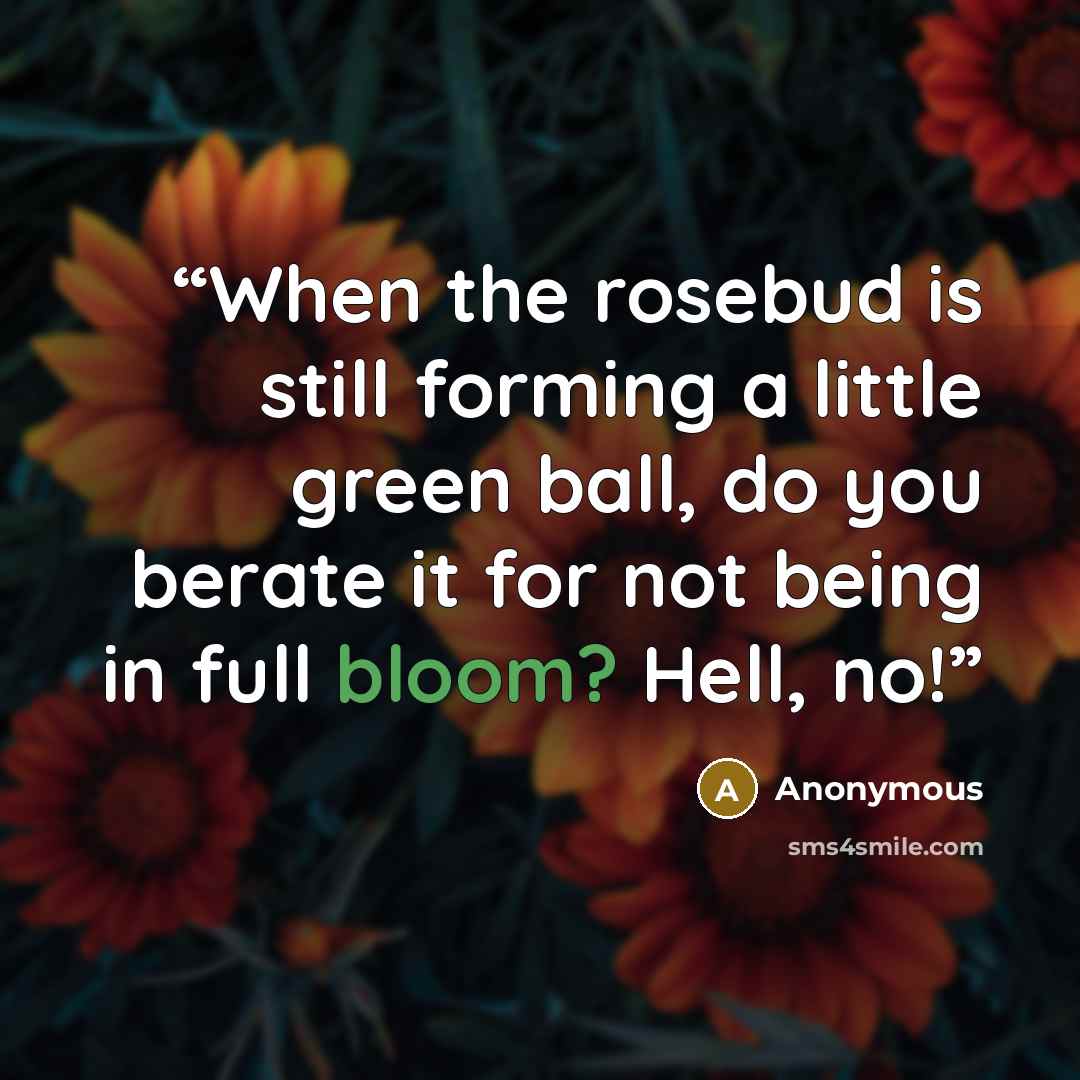 “When the rosebud is still forming a little green ball, do you berate it for not being in full bloom? Hell, no!” quote by Anonymous