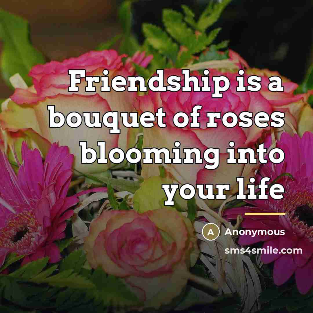 “Friendship is a bouquet of roses blooming into your life…” quote by Anonymous