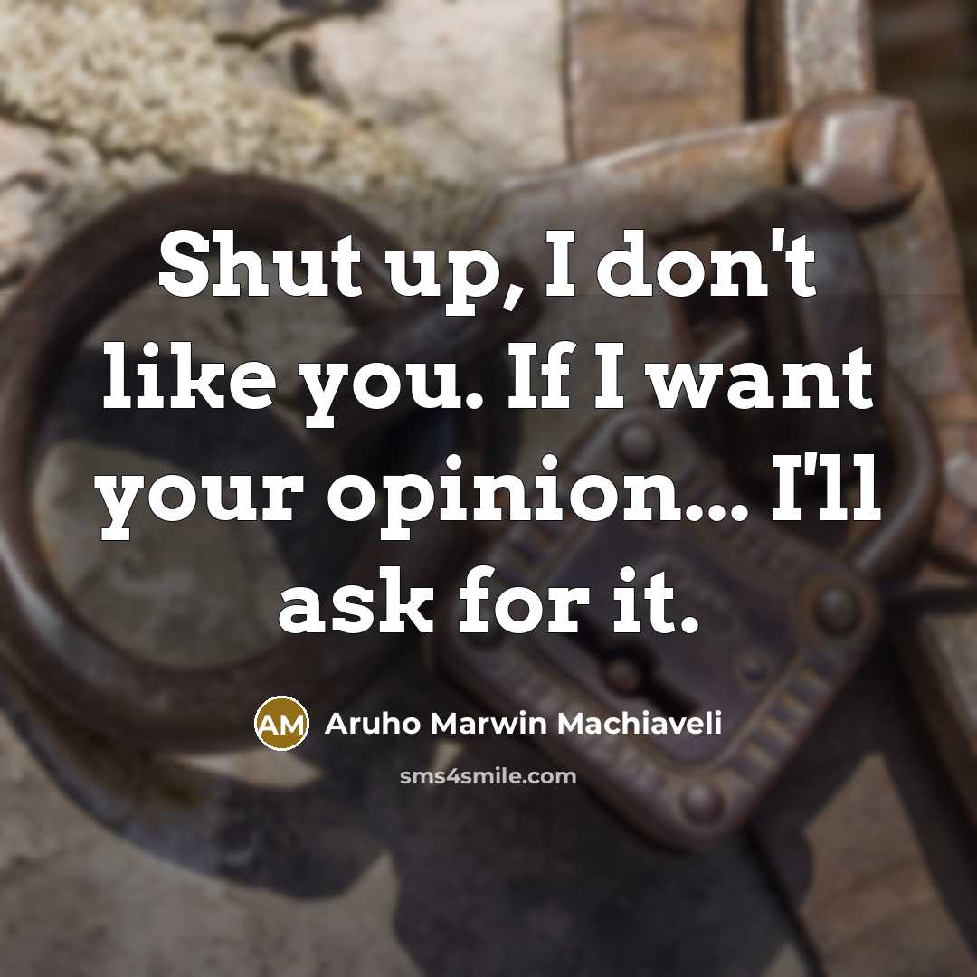 “Shut up, I don't like you. If I want your opinion... I'll ask for it.” quote by Aruho Marwin Machiaveli