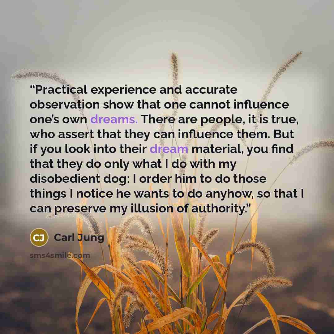 “Practical experience and accurate observation show that one cannot influence one’s own dreams. There are people, it is true, who assert that they can influence them. But if you look into their dream material, you find that they do only what I do with my disobedient dog: I order him to do those…” quote by Carl Jung