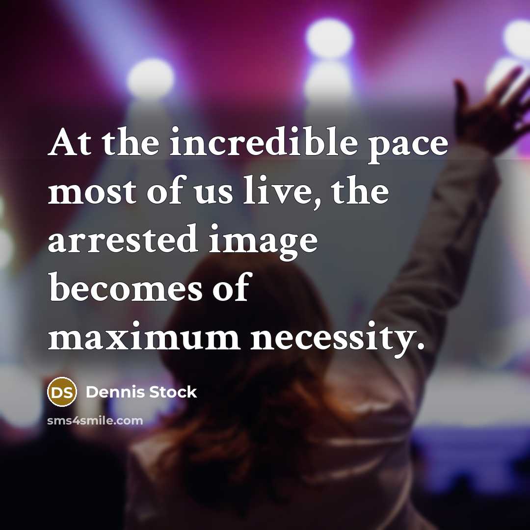“At the incredible pace most of us live, the arrested…” quote by Dennis Stock