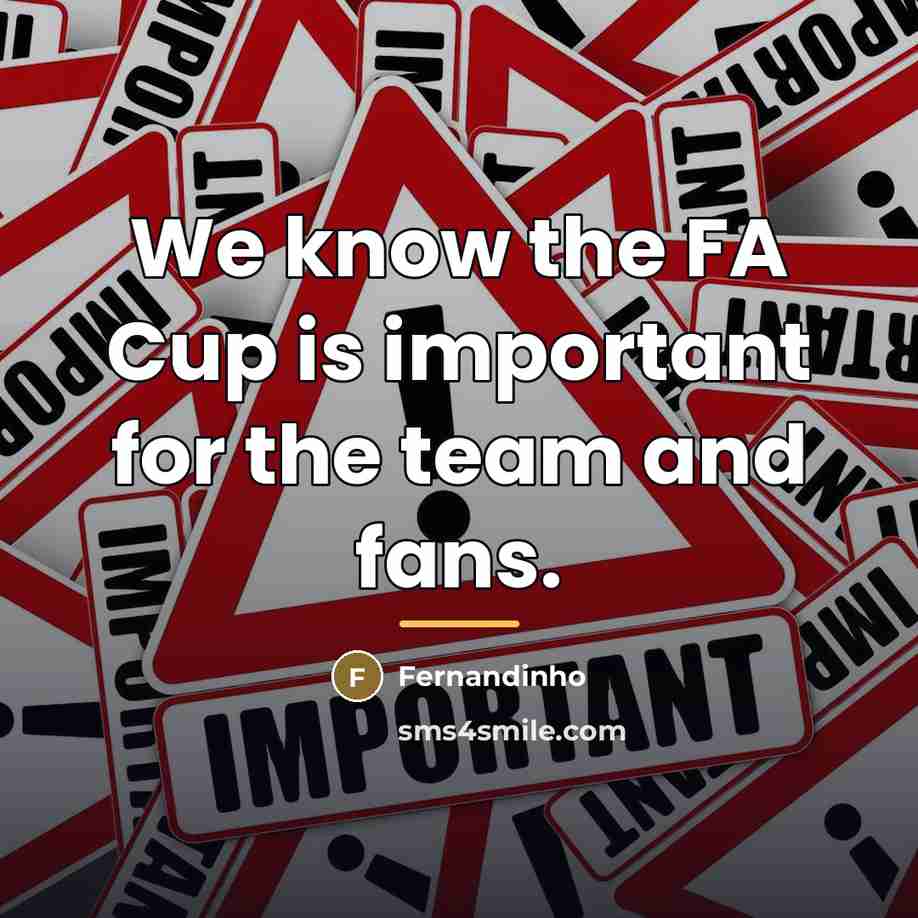“We know the FA Cup is important for the team…” quote by Fernandinho