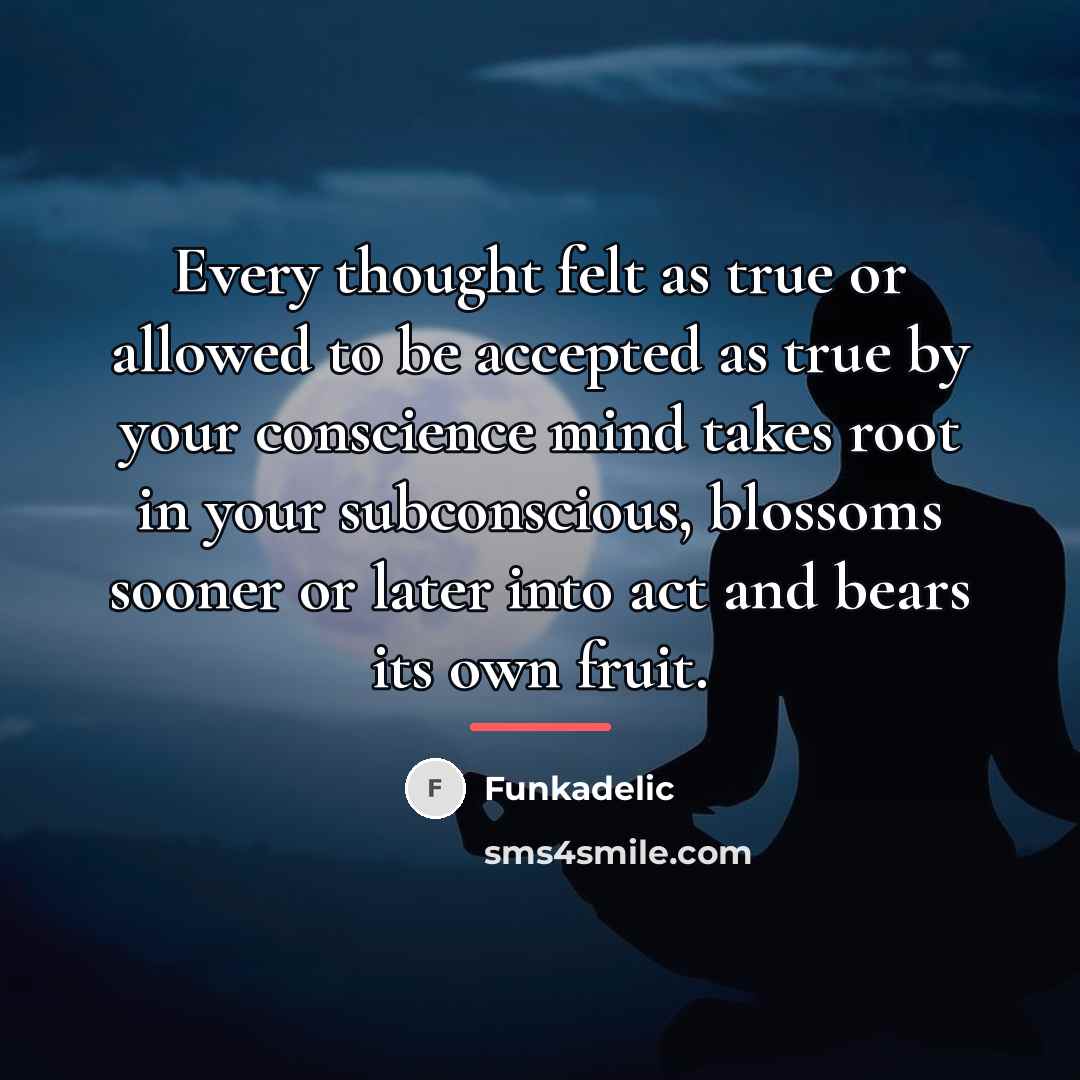 “Every thought felt as true or allowed to be accepted…” quote by Funkadelic