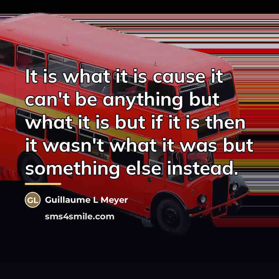 “It is what it is cause it can't be anything…” quote by Guillaume L Meyer