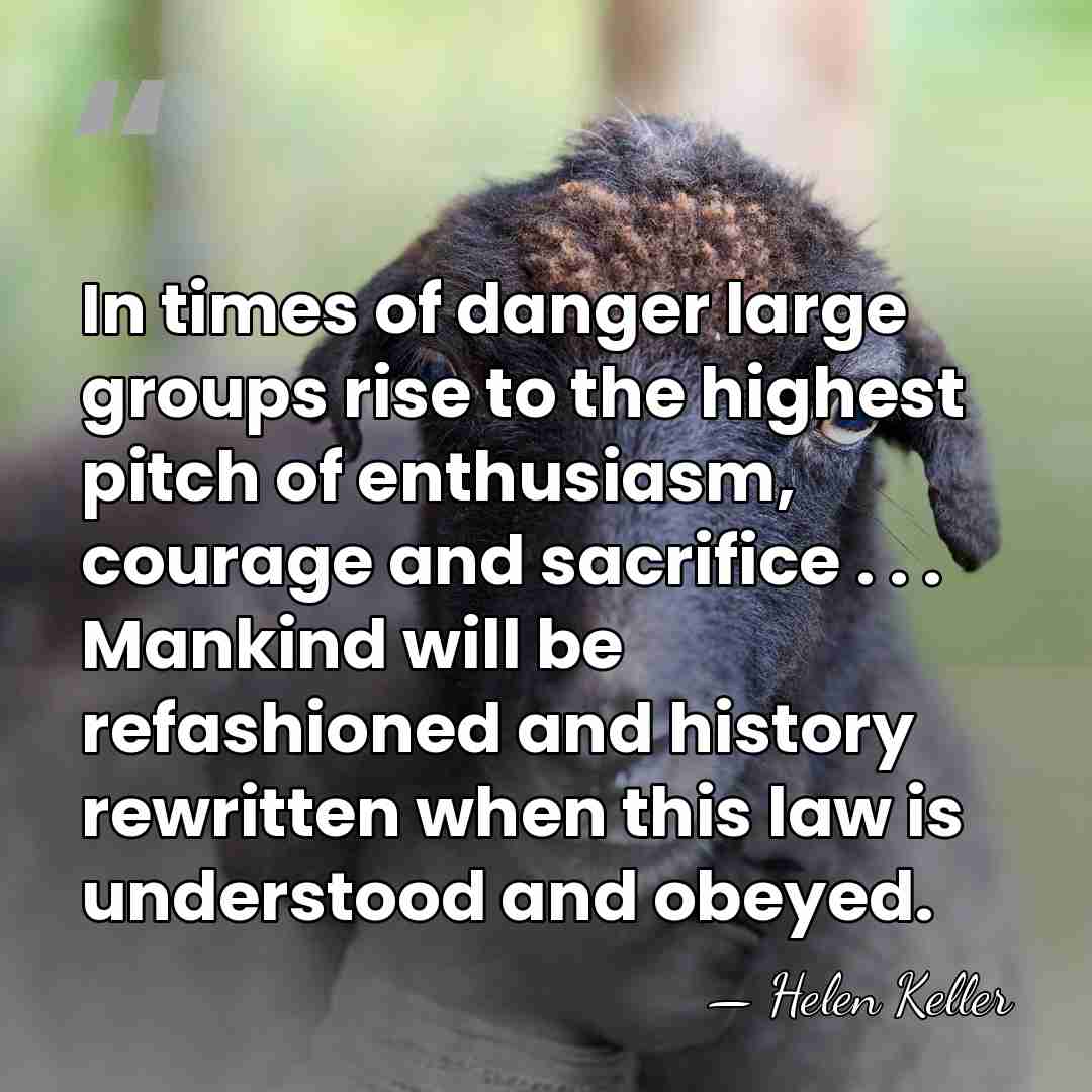 In times of danger large groups rise to the highest pitch of&hellip; - Helen Keller