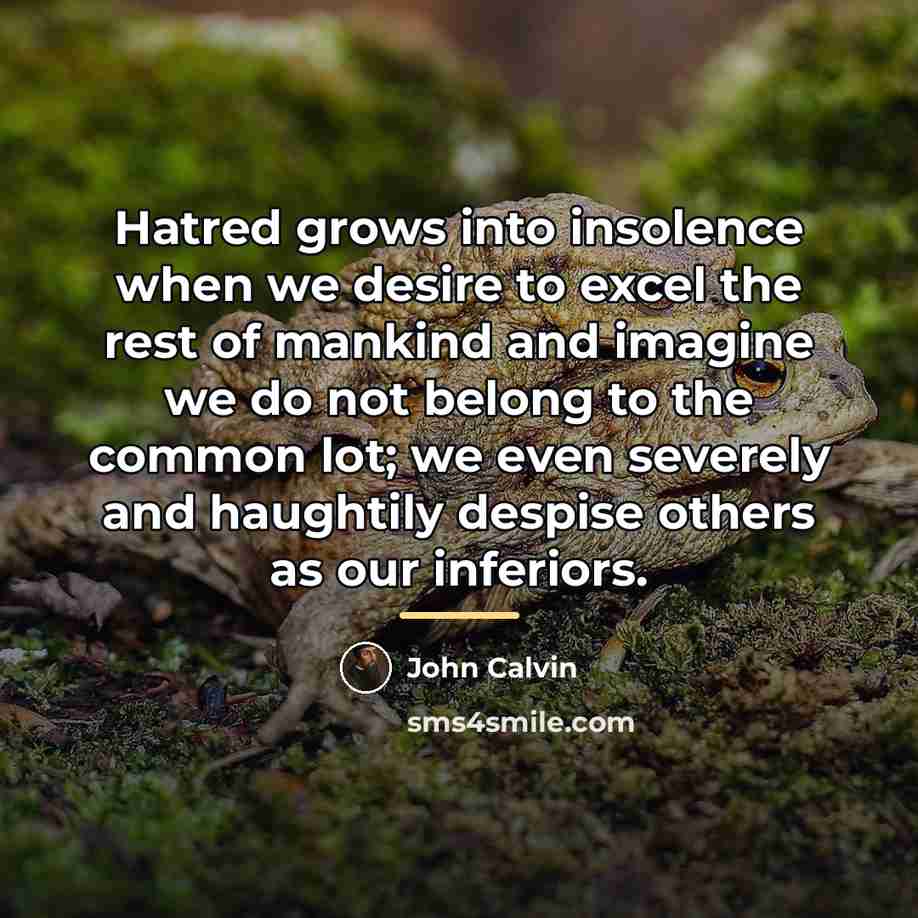 “Hatred grows into insolence when we desire to excel the…” quote by John Calvin
