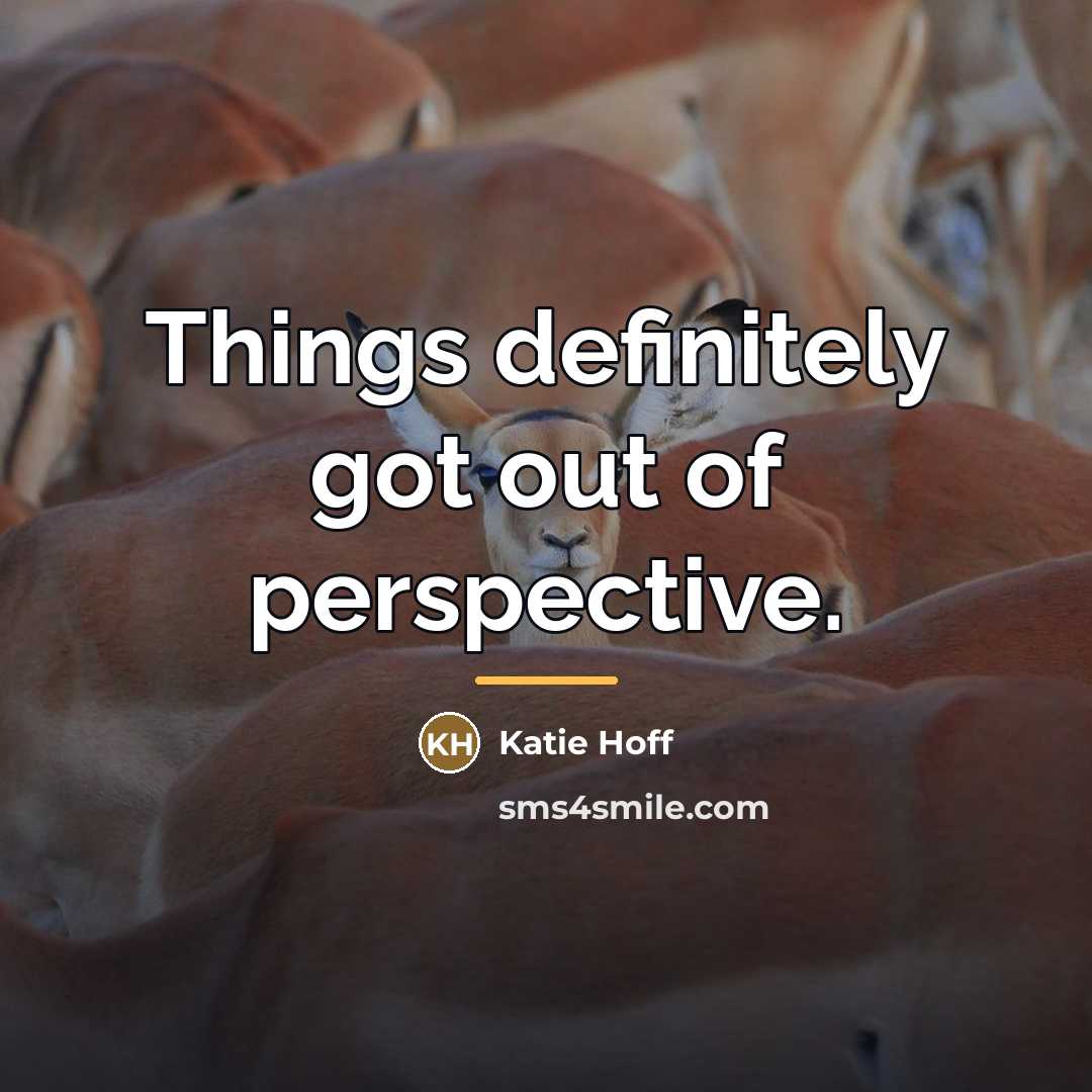 “Things definitely got out of perspective.…” quote by Katie Hoff