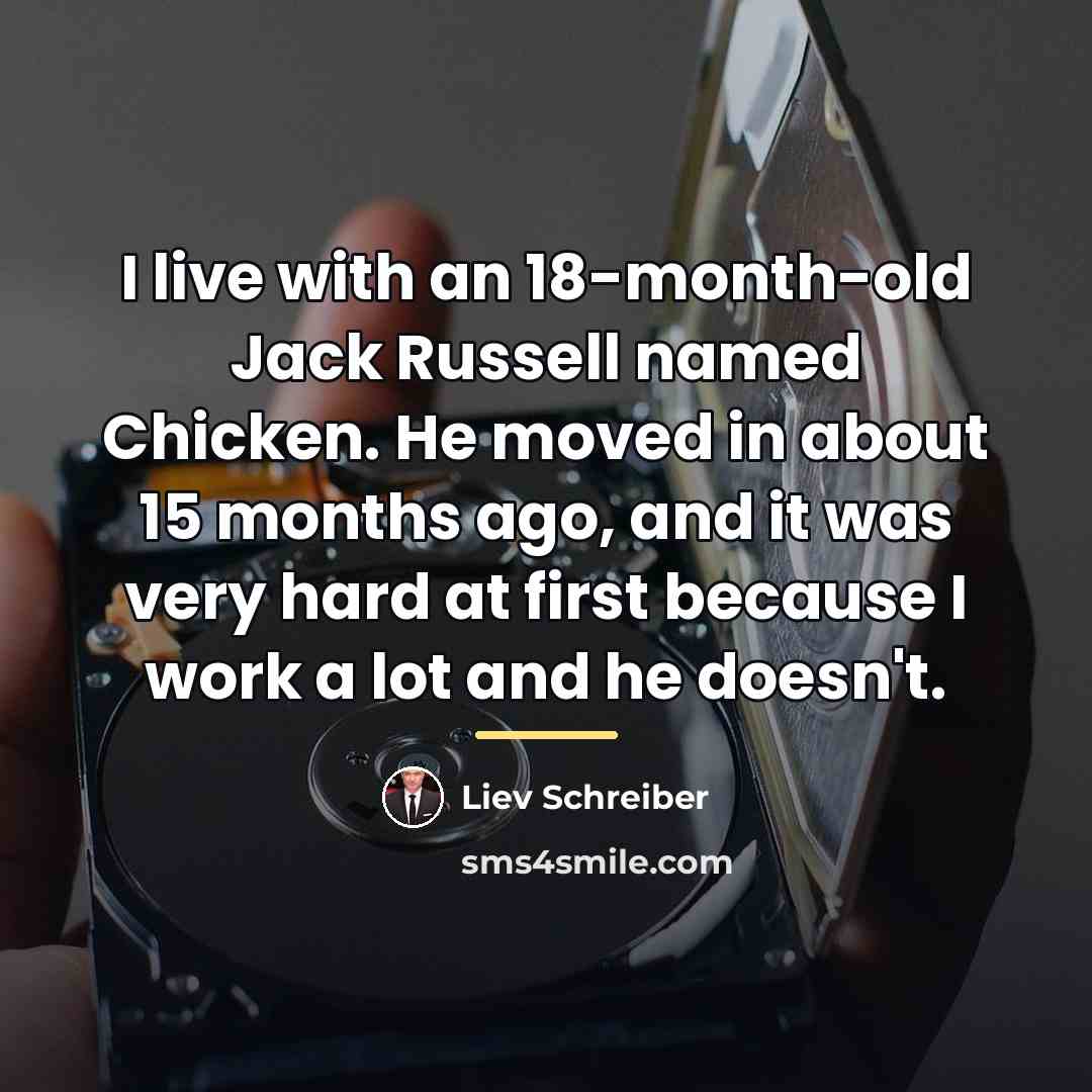 “I live with an 18-month-old Jack Russell named Chicken. He…” quote by Liev Schreiber