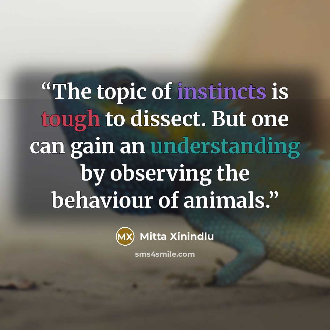 “The topic of instincts is tough to dissect. But one can gain an understanding by observing the behaviour of animals.” quote by Mitta Xinindlu