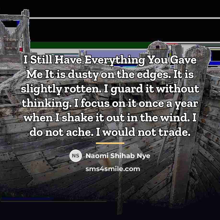 “I Still Have Everything You Gave Me It is dusty…” quote by Naomi Shihab Nye
