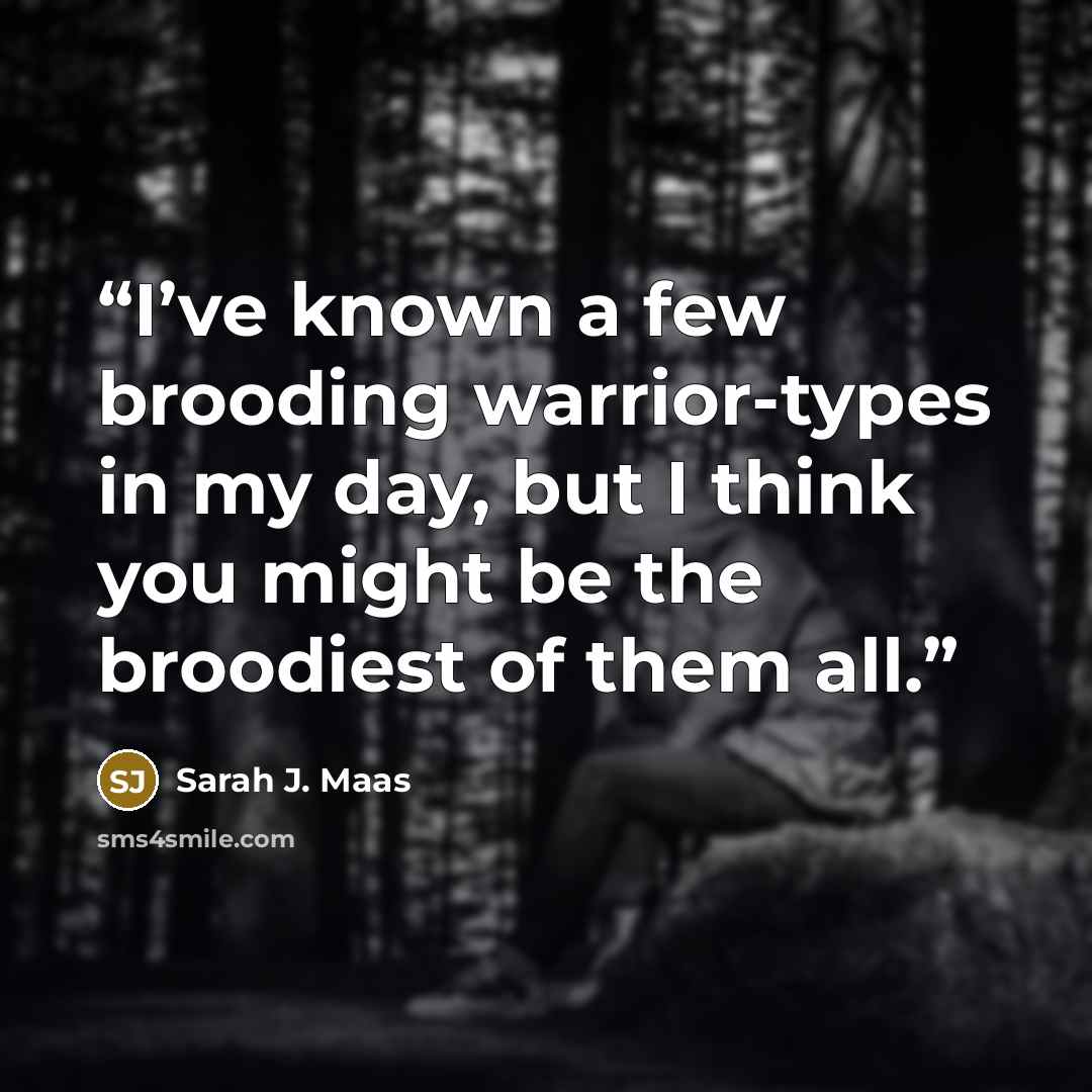 “I’ve known a few brooding warrior-types in my day, but I think you might be the broodiest of them all.” quote by Sarah J. Maas