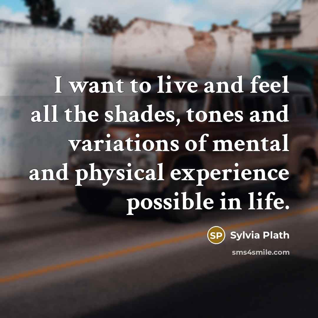 “I want to live and feel all the shades, tones…” quote by Sylvia Plath