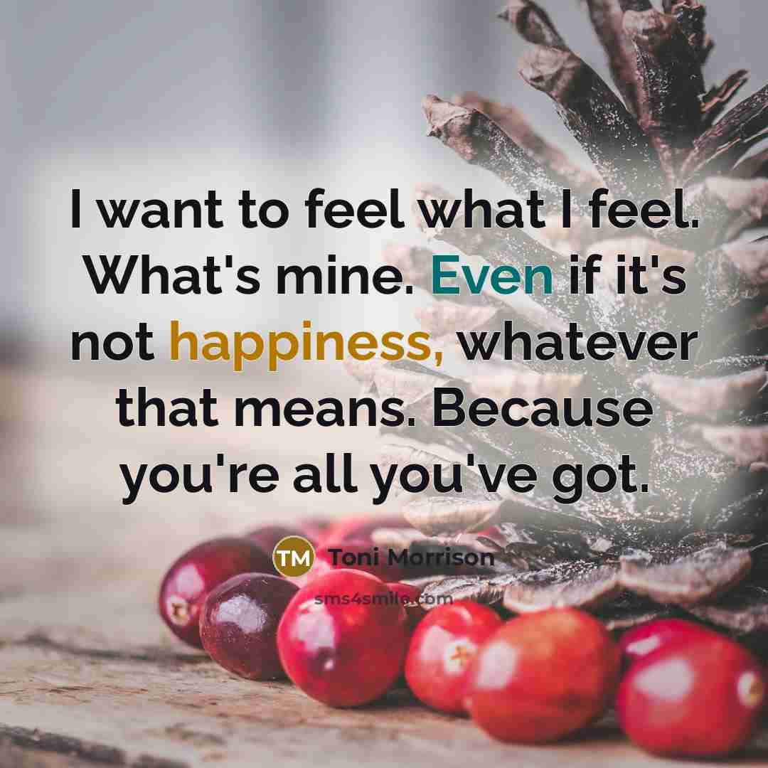 “I want to feel what I feel. What's mine. Even if it's not happiness, whatever that means. Because you're all you've got.” quote by Toni Morrison