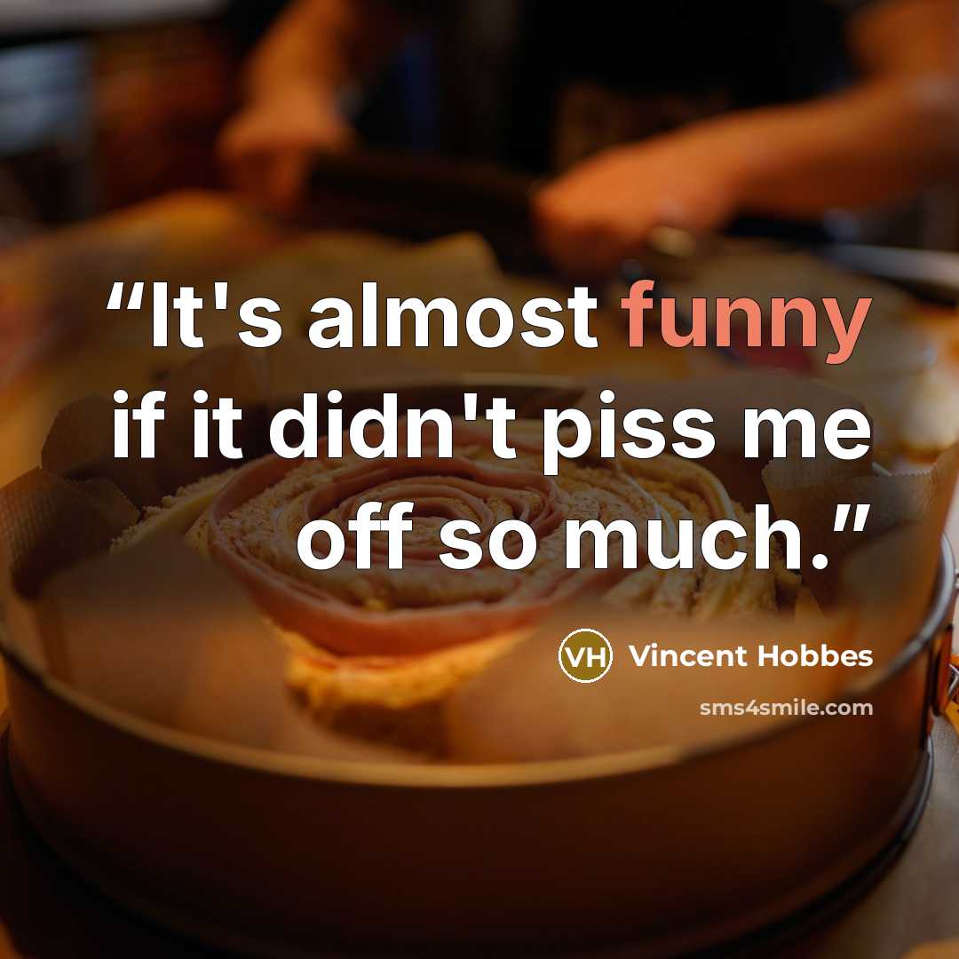 “It's almost funny if it didn't piss me off so much.” quote by Vincent Hobbes