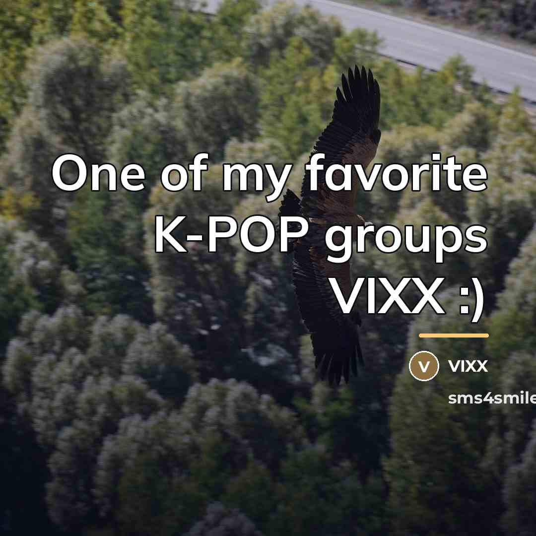 “One of my favorite K-POP groups VIXX :)…” quote by Vixx