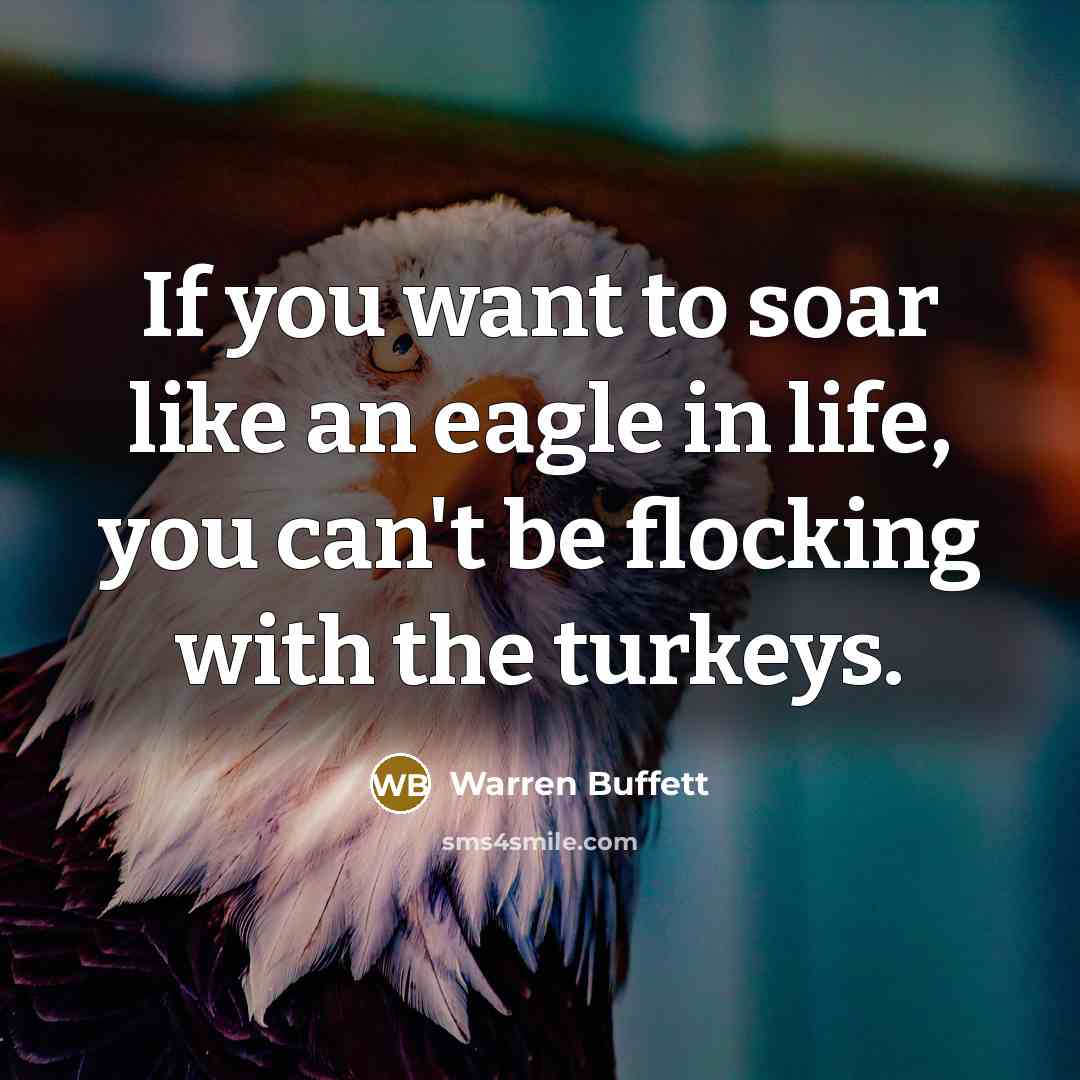 “If you want to soar like an eagle in life,…” quote by Warren Buffett