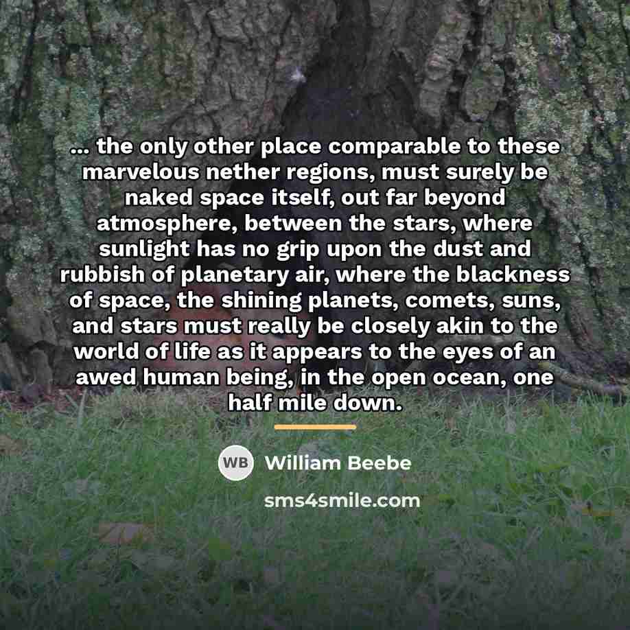 “... the only other place comparable to these marvelous nether…” quote by William Beebe