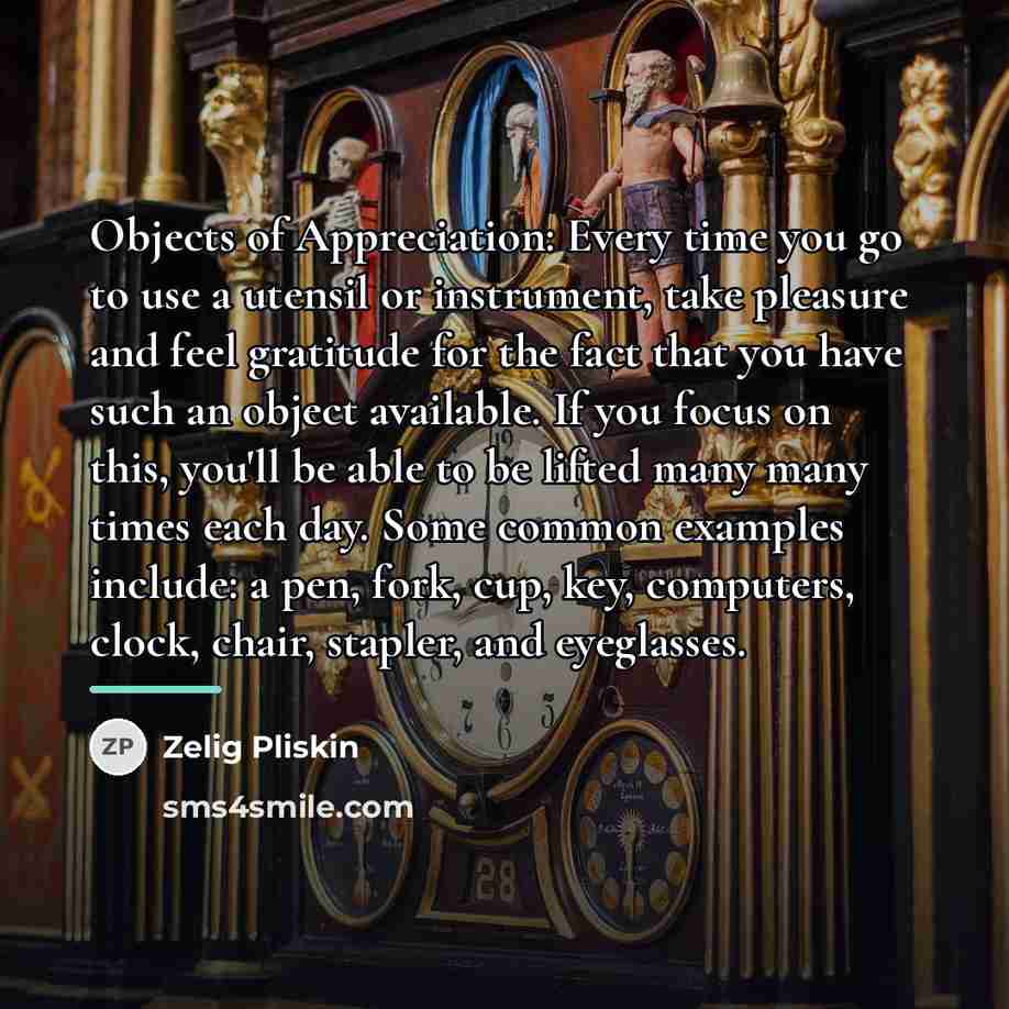 “Objects of Appreciation: Every time you go to use a…” quote by Zelig Pliskin