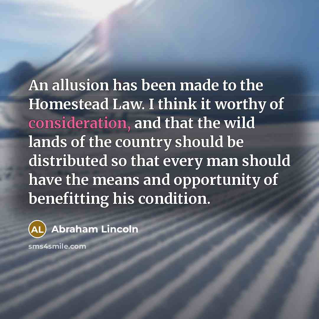“An allusion has been made to the Homestead Law. I…” quote by Abraham Lincoln