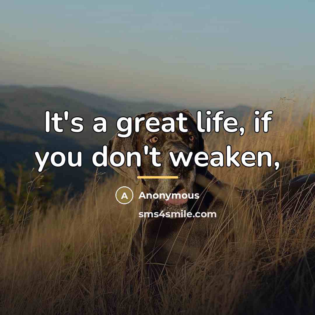 “It's a great life, if you don't weaken,…” quote by Anonymous