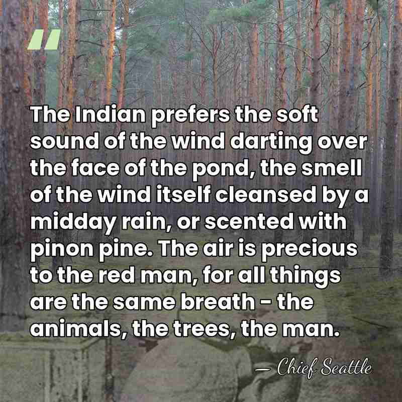 The Indian prefers the soft sound of the wind darting over the&hellip; - Chief Seattle