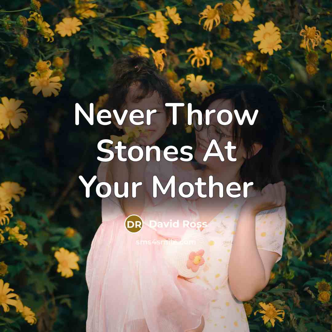 “Never Throw Stones At Your Mother…” quote by David Ross