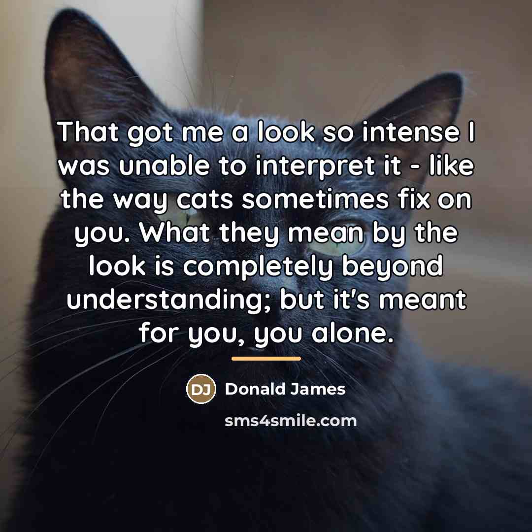 “That got me a look so intense I was unable…” quote by Donald James