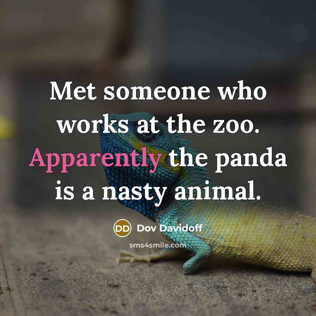 “Met someone who works at the zoo. Apparently the panda…” quote by Dov Davidoff