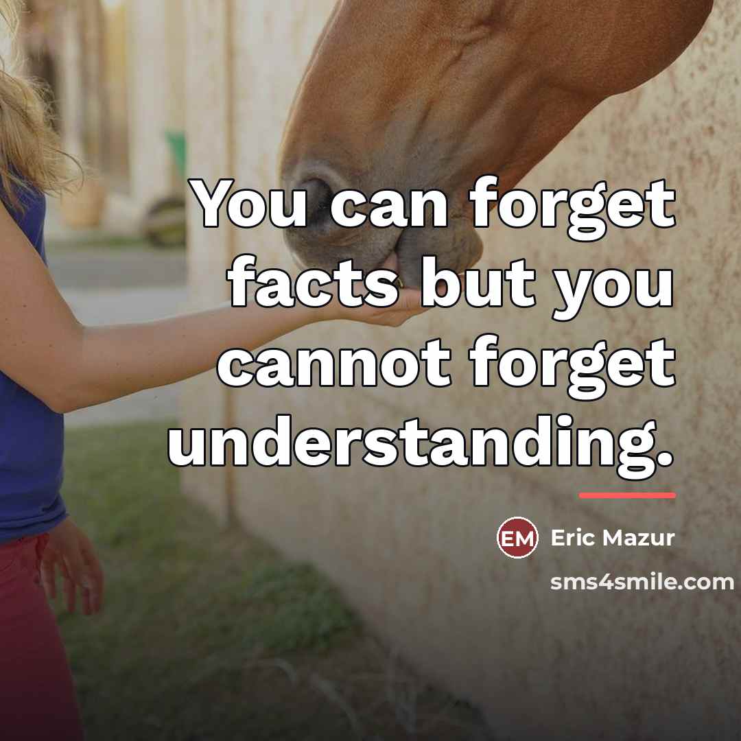 “You can forget facts but you cannot forget understanding.…” quote by Eric Mazur