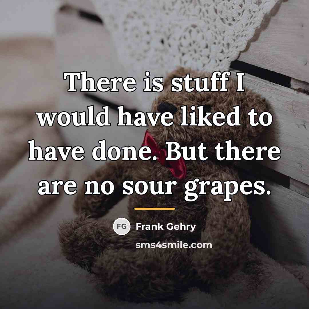 “There is stuff I would have liked to have done.…” quote by Frank Gehry