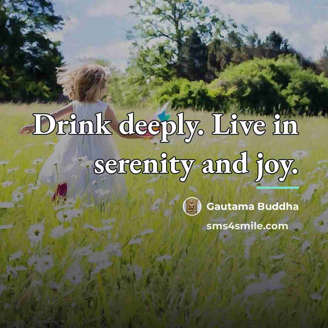 “Drink deeply. Live in serenity and joy.…” quote by Gautama Buddha
